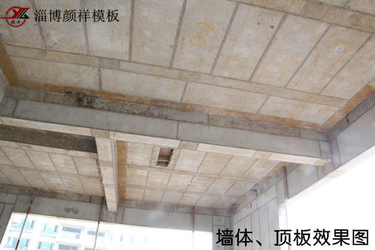 墻體、頂板效果圖